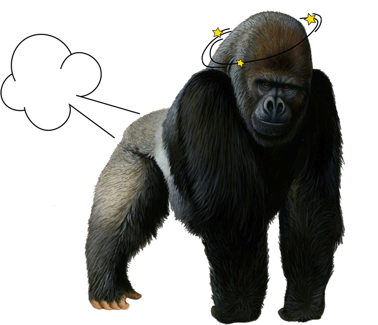 GORILLA 2006